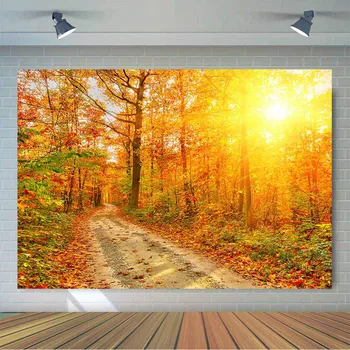  Есенен фон Златна есенна горска пътека Фотофон 7x5 фута Есенни дървета Винил фон Подпори за фотобудки