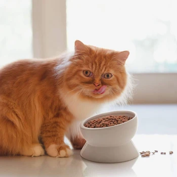 Повдигнати купа за храна за котки, купа за вода Наклонена керамична купа за вода за котки, подходящ за измиване на мустаците домашни котки, могат да се мият в миялна машина
